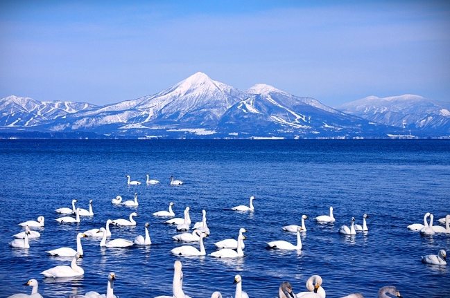 裏磐梯湖畔渡假村